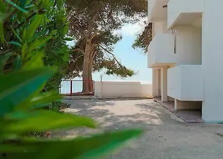 Aquarius By Amarena Collection