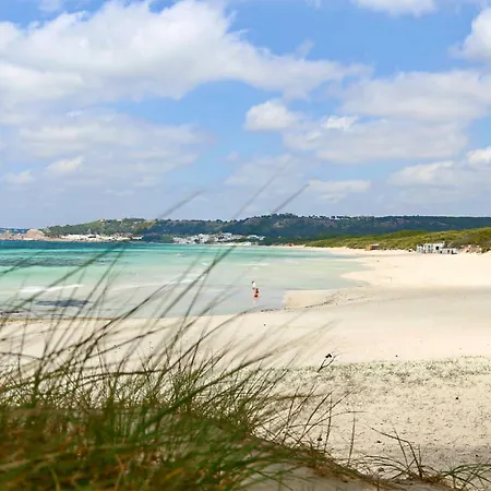 Aquarius By Amarena Collection