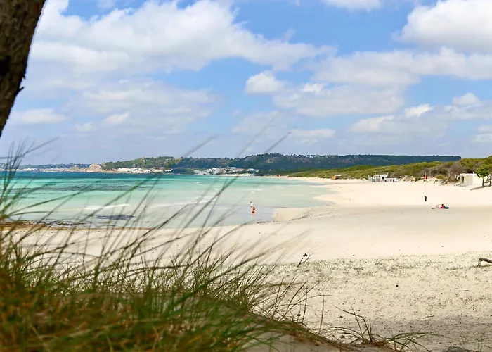 Aquarius By Amarena Collection