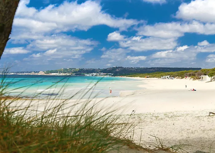 Aquarius By Amarena Collection * גאליפולי