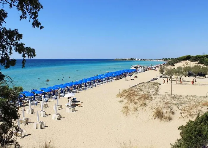 Aquarius By Amarena Collection *