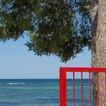 Aquarius By Amarena Collection * Gallipoli