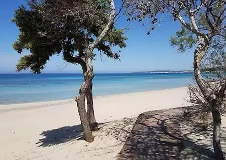 Lejlighed Aquarius By Amarena Collection *