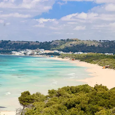 Aquarius By Amarena Collection