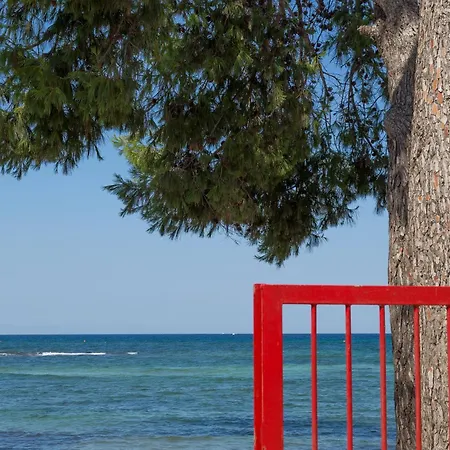 Aquarius By Amarena Collection * Gallipoli