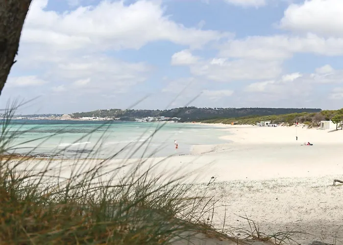 Aquarius By Amarena Collection * Gallipoli