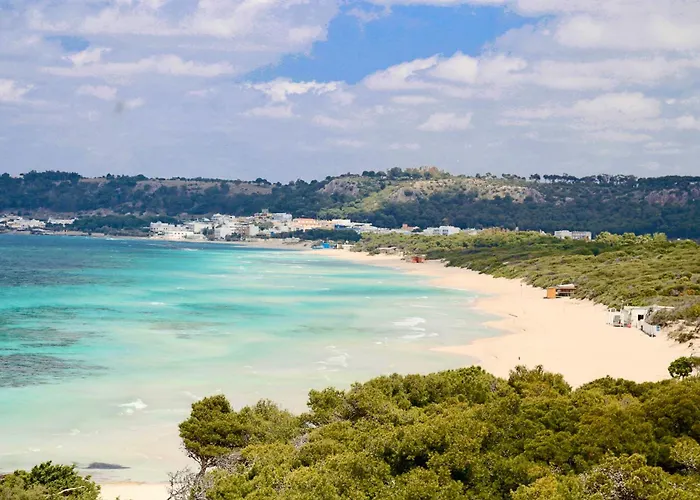 Aquarius By Amarena Collection