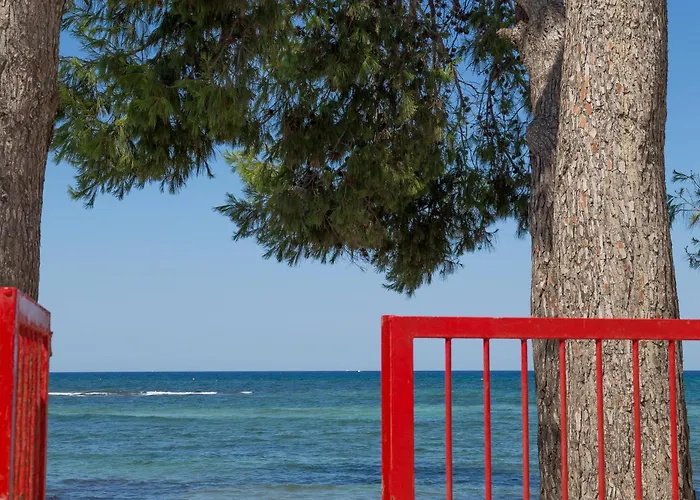 Aquarius By Amarena Collection * Gallipoli