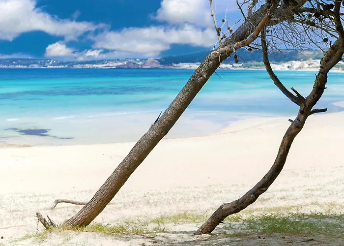 Aquarius By Amarena Collection *